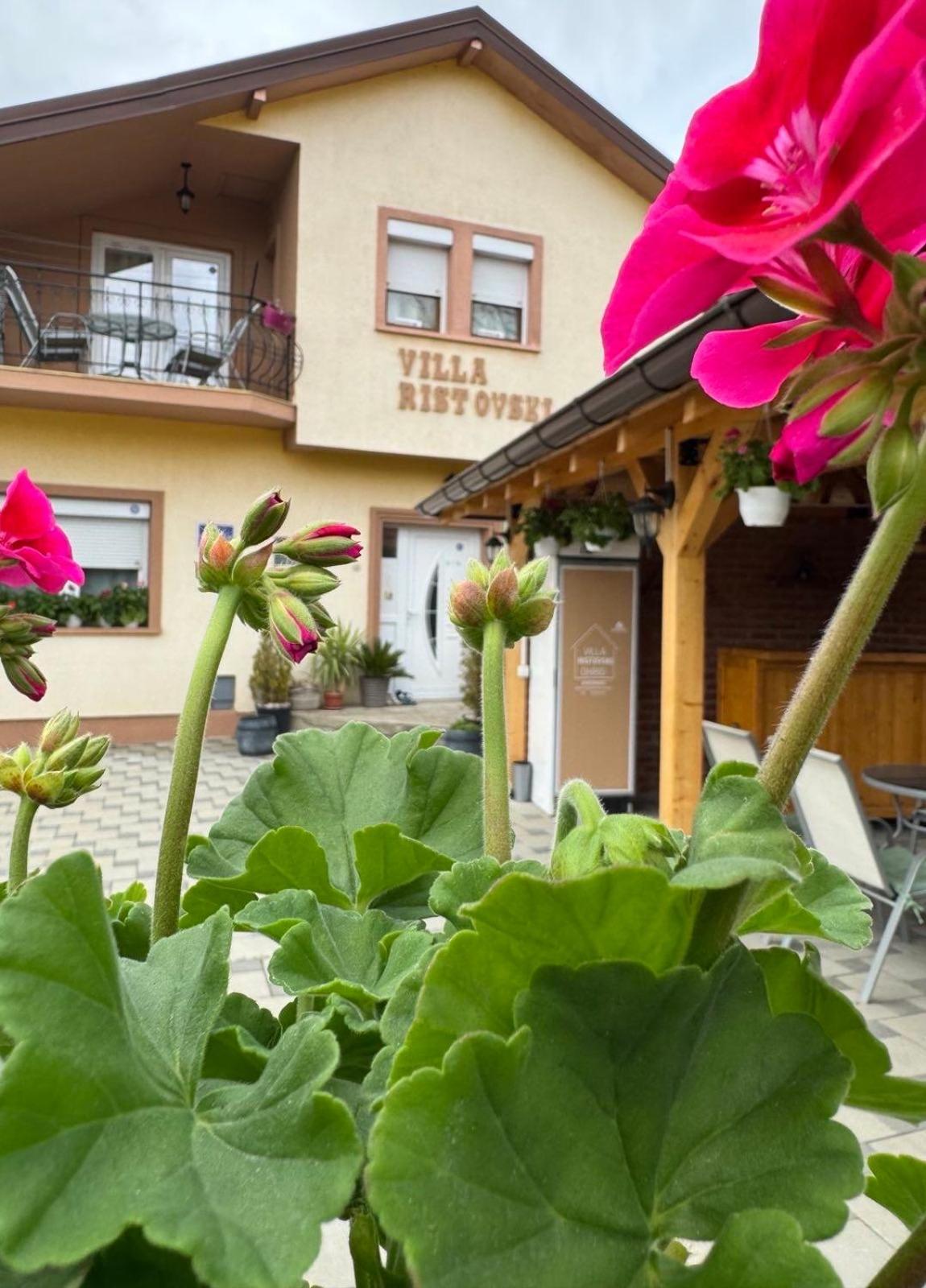 Villa Ristovski Ohrid Exterior photo